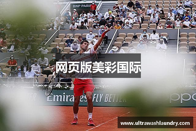 网页版美彩国际